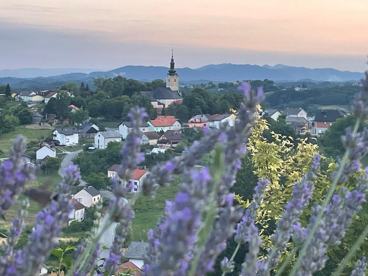 Kuca Za Odmor Hiza I Vila Krapina Eksteriør billede